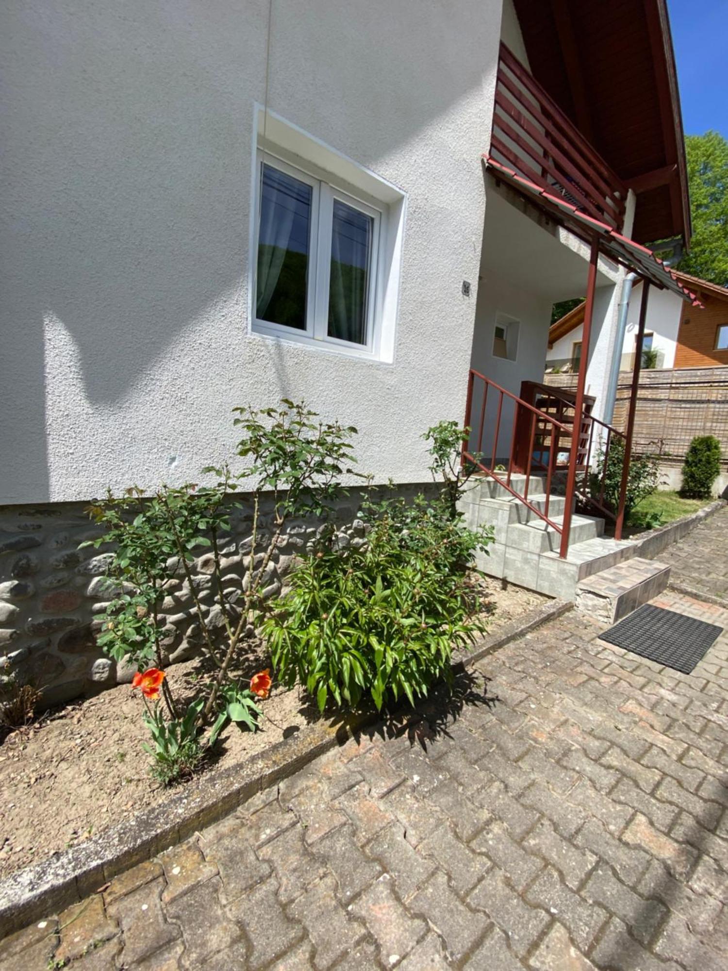 Casa Micul Arin Villa Sovata Eksteriør billede